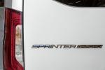 Mercedes-Benz Sprinter Tourer 2018 года (WW)